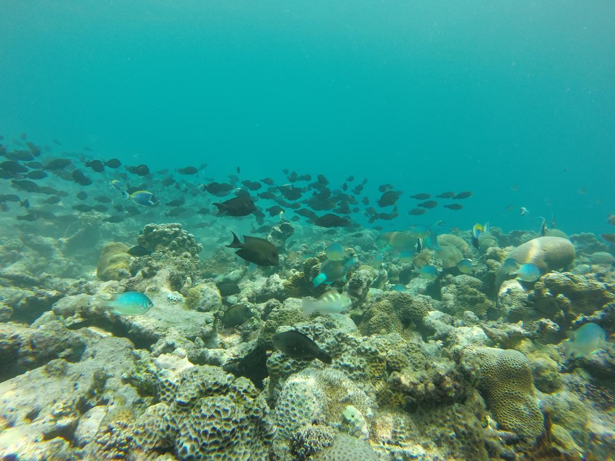 Golhaa View Inn By Tes Thulusdhoo Zewnętrze zdjęcie